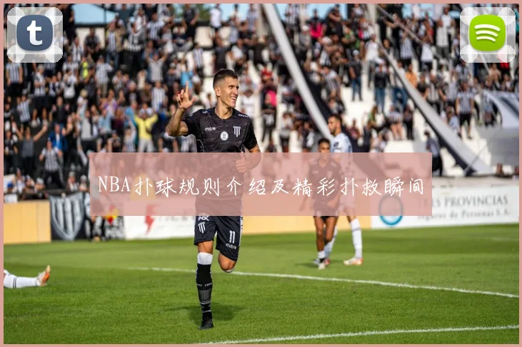NBA扑球规则介绍及精彩扑救瞬间
